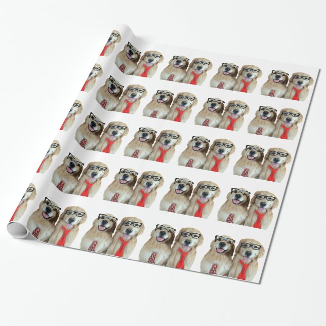 Papel De Presente Golden retriever com vidros do nerd (Desenrolado)