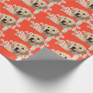 Papel De Presente Golden Retriever em margaridas em laranja