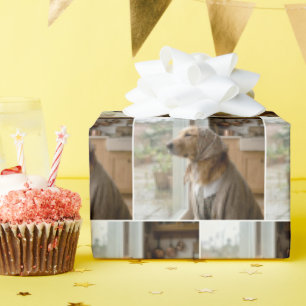 Papel De Presente Golden Retriever Olhando para a Chuva