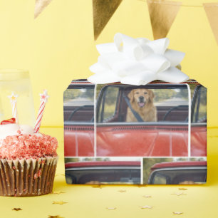 Papel De Presente Golden Retriever Usando Cinto de Segurança