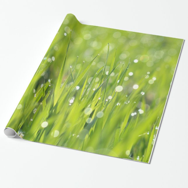 Papel De Presente Gotas de orvalho na grama (Desenrolado)