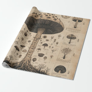 Papel De Presente Gráfico Botânico de Cogumelo Vintage (10)