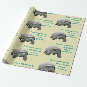 Papel De Presente Grande Aqua Real Tortoise Viagem do seu próprio e