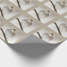 Grátis Sparrow