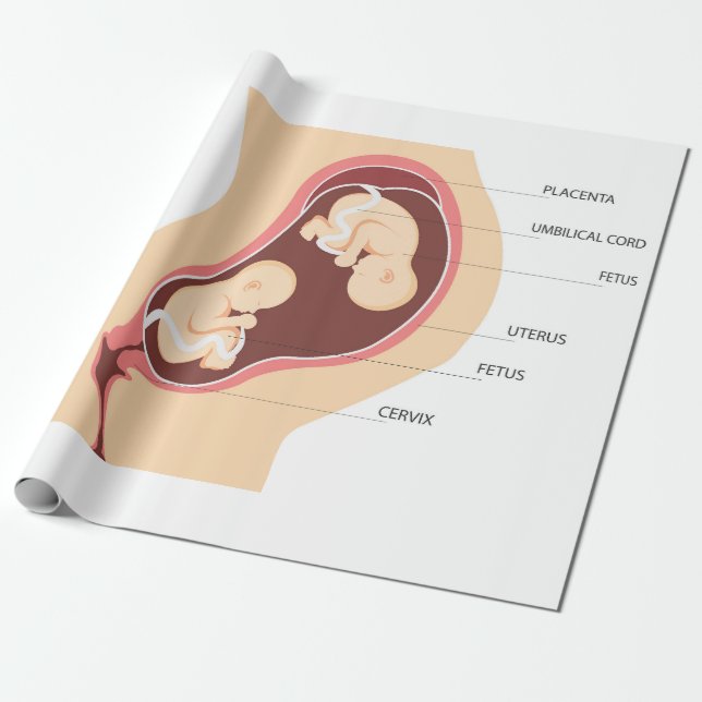 Papel De Presente Gravidez dizigótica (Desenrolado)