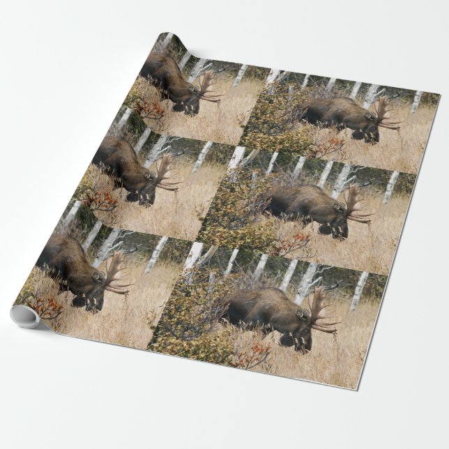 Papel De Presente Grazing Moose (Desenrolado)