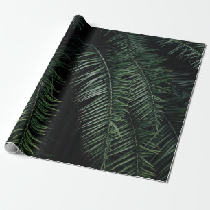 PAPEL DE PRESENTE GREEN PALM PLANT DURING NIGHT TIME