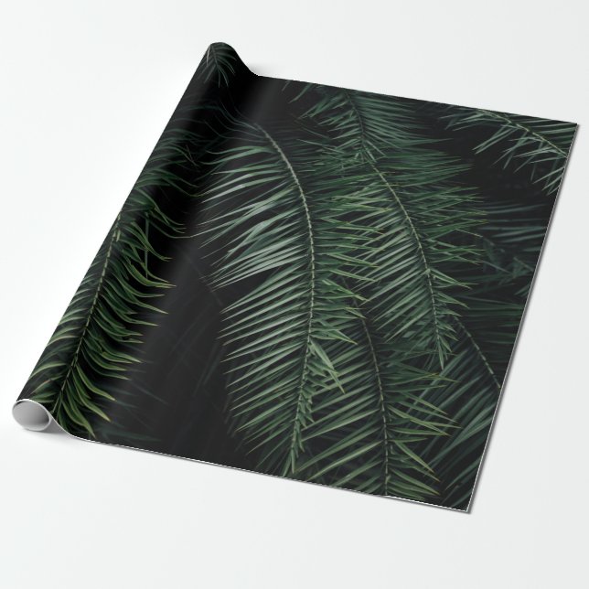 PAPEL DE PRESENTE GREEN PALM PLANT DURING NIGHT TIME (Desenrolado)