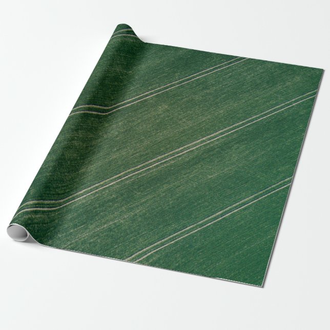 Papel De Presente Green surface (Desenrolado)