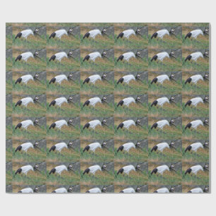 Papel De Presente Grus japonensis
