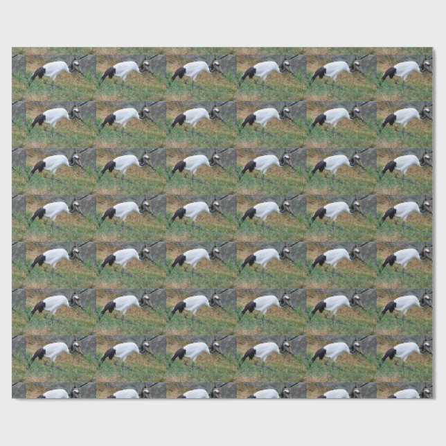 Papel De Presente Grus japonensis (Aberto)