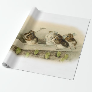 Papel De Presente "Guiné Pig Garden" por Beatrix Potter