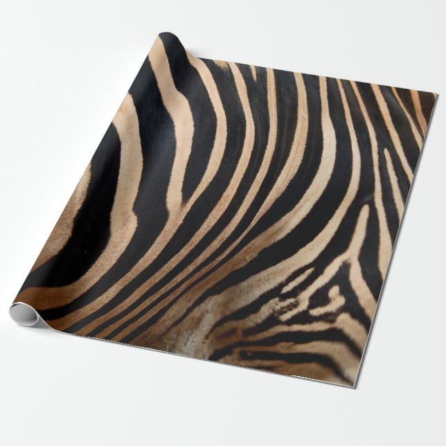 Papel De Presente hair skin of zebraskin,animal,background,black,bod (Desenrolado)