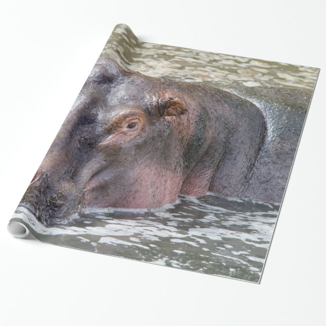 Papel De Presente Happy Hippo (Desenrolado)