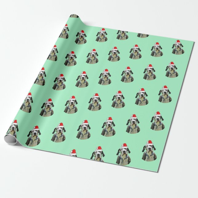 Papel De Presente Harlequin Great Dane com Santa Hat (Desenrolado)