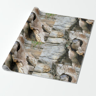 Papel De Presente Harry Otter