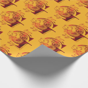 Papel De Presente Harry Potter   Aguamenti GRYFFINDOR™ Gráfico