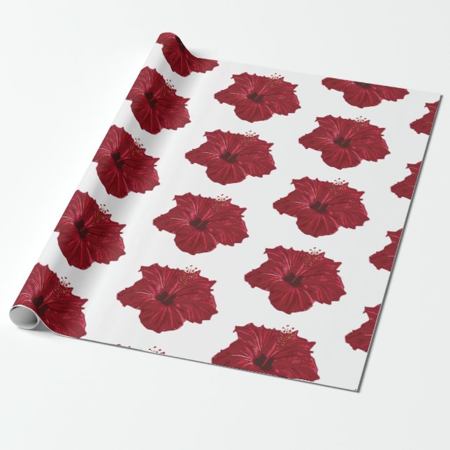 Papel De Presente Havaí (Desenrolado)