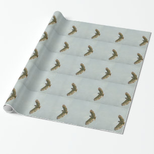Papel De Presente Hawk