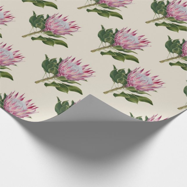 Papel De Presente Heart of Gondwana, sandstone Wrapping Paper Design (Ponta)