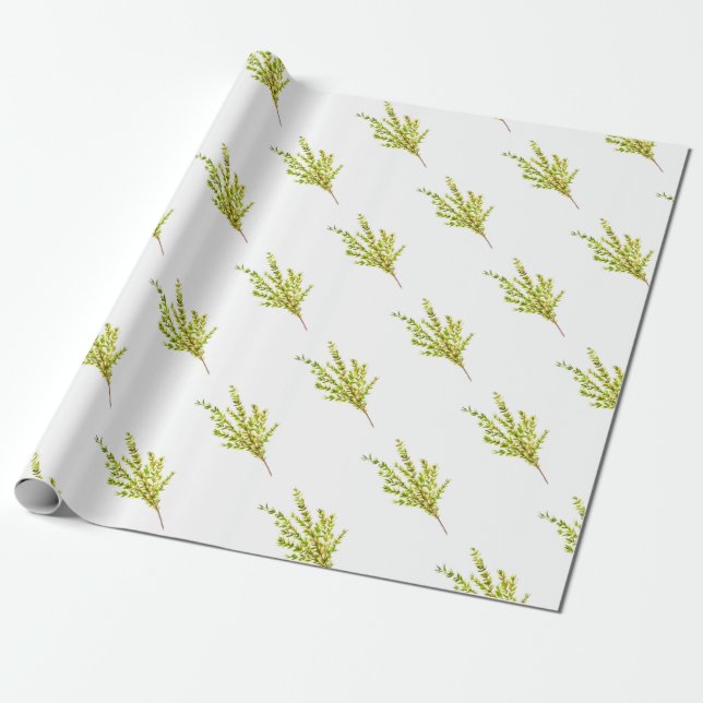 Papel De Presente Herbos por tomilho Plantas aromáticas e aquáticas  (Desenrolado)