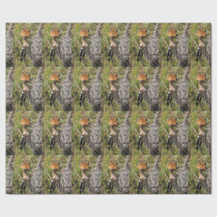 Papel De Presente Hoopoe Feeding Nestling