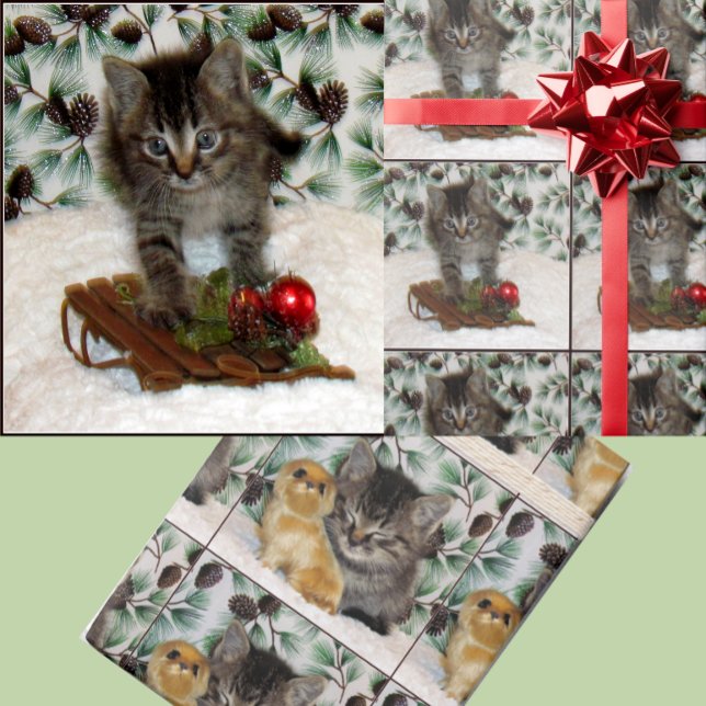 Papel De Presente Hora de Patton - Natal de Gato (Criador carregado)
