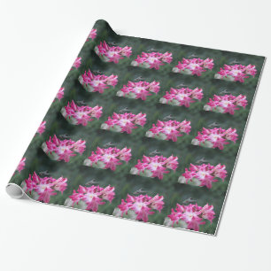 Papel De Presente Hummingbird com lírios belladonna