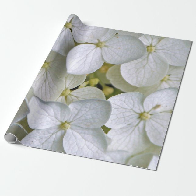 Papel De Presente Hydrangea 6775 Wrapping Paper (Desenrolado)