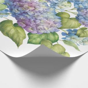 Papel De Presente Hydrangeas na flor