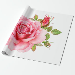 Papel De Presente Ilustração aquosa de uma delicada rosa wi