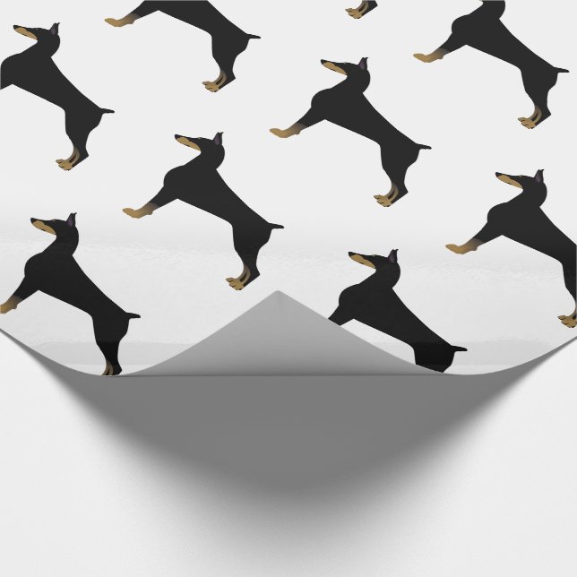 Papel De Presente Ilustração Básica de Raça de Cão Doberman Pinscher (Ponta)