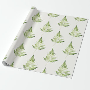 Papel De Presente Ilustração Botânica de Fern Verde Minimalista