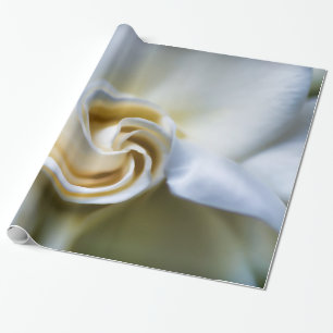Papel De Presente Ilustração branca do Gardenia