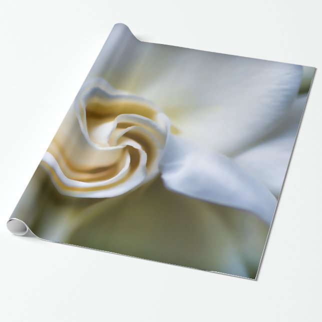 Papel De Presente Ilustração branca do Gardenia (Desenrolado)