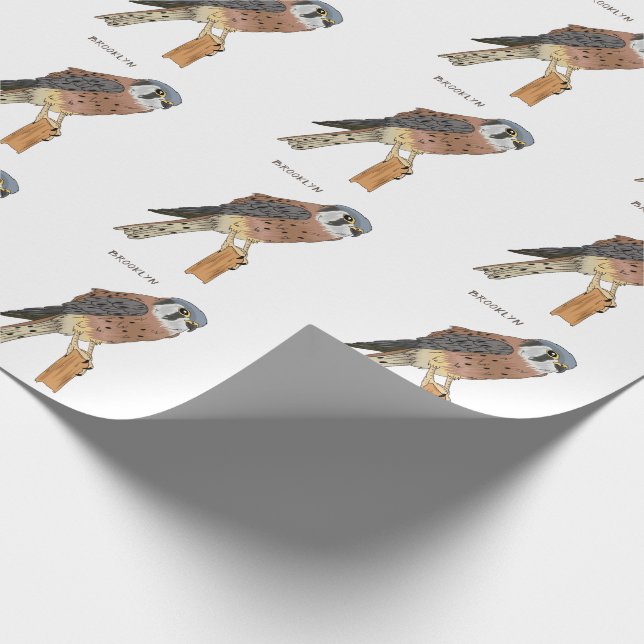 Papel De Presente Ilustração de ave do Kestrel Americano (Ponta)