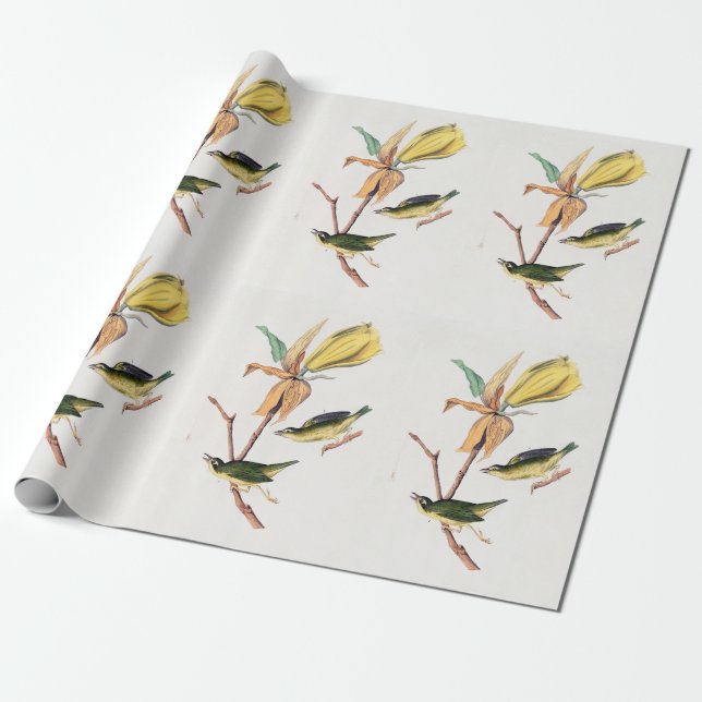 Papel De Presente Ilustração de Aves de Caça-Voo do Kentucky (Desenrolado)