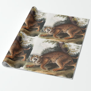 Papel De Presente Ilustração de gato selvagem americano (Lynx rufus)