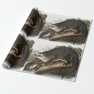 Papel De Presente Ilustração de lontra canadiana (Lutra canadiensis)