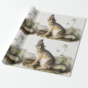 Papel De Presente Ilustração de Raposa Swift (Vulpes velox)