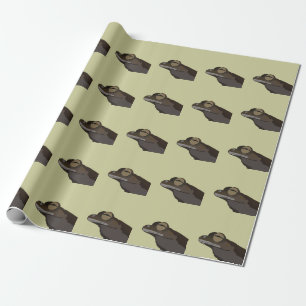 Papel De Presente Ilustração de Sapo de Árvore