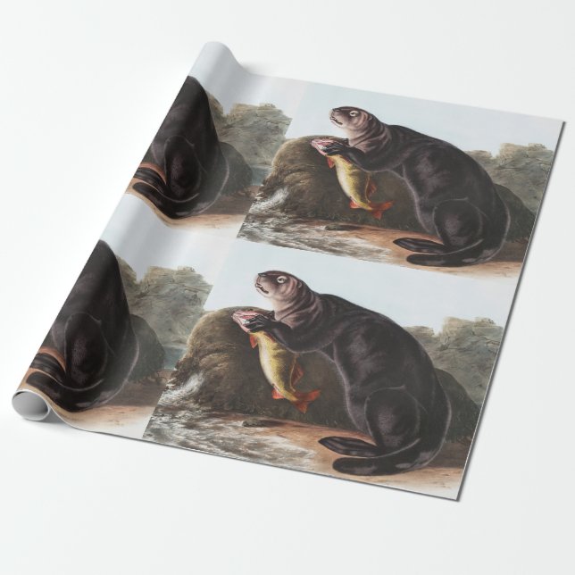 Papel De Presente Ilustração de Sea Otter (Enhydra marina) (Desenrolado)