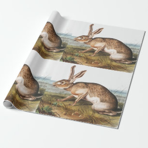 Papel De Presente Ilustração do Coelho da Lepus Texianus