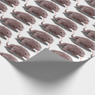 Papel De Presente Ilustração do dragão Komodo