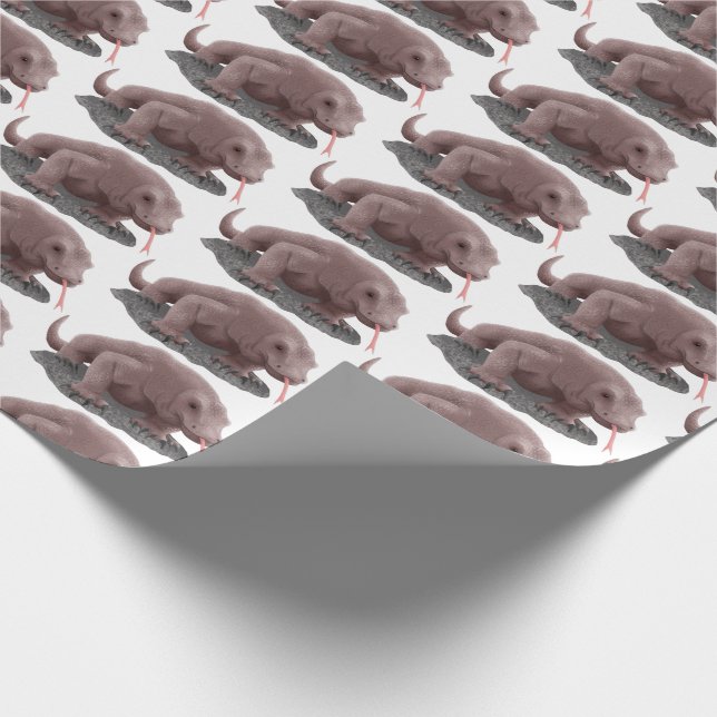 Papel De Presente Ilustração do dragão Komodo (Ponta)