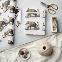 Ilustração do Elefante Asiático Vintage 1892