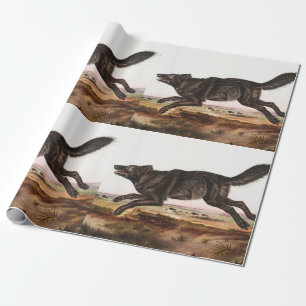 Papel De Presente Ilustração do Lobo Negro-Americano (Canis lupus)
