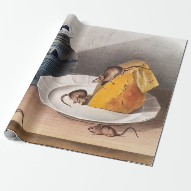 Papel De Presente Ilustração do rato (Mus-musculus) (Desenrolado)