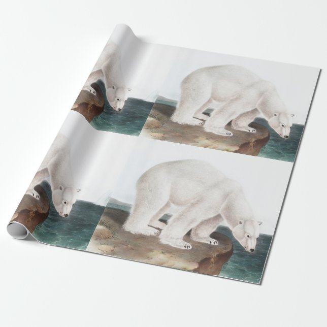Papel De Presente Ilustração do Urso Polar (Ursus maritimus) (Desenrolado)
