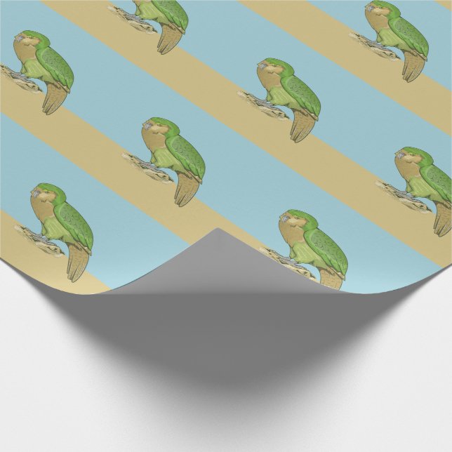 Papel De Presente Ilustração Kakapo (Ponta)